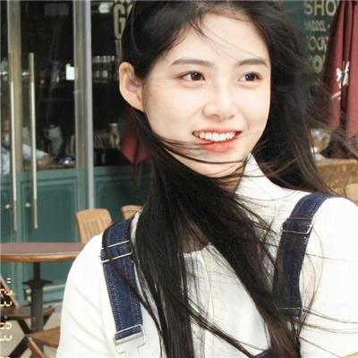 鲨与鲸